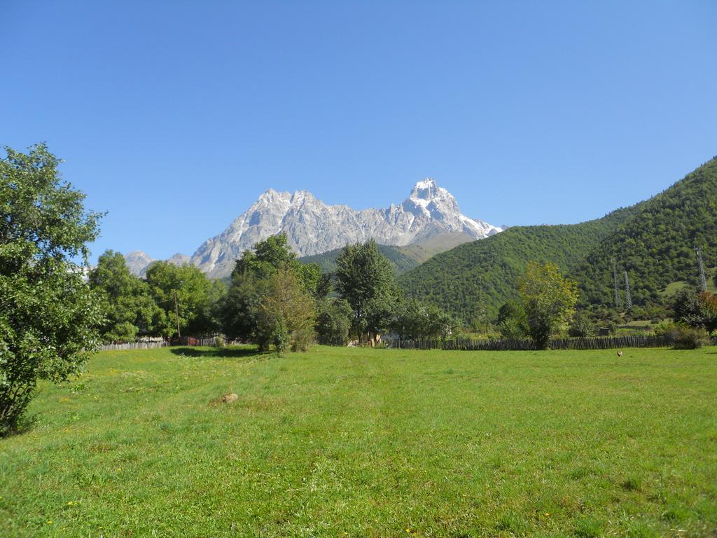 Guest House Vivaushba Bagvdanari Dış mekan fotoğraf