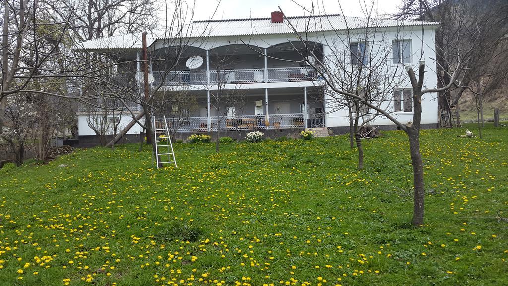 Guest House Vivaushba Bagvdanari Dış mekan fotoğraf